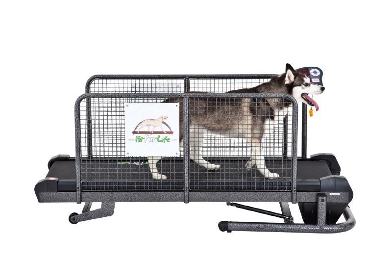 Medium Fit Fur Life Treadmill