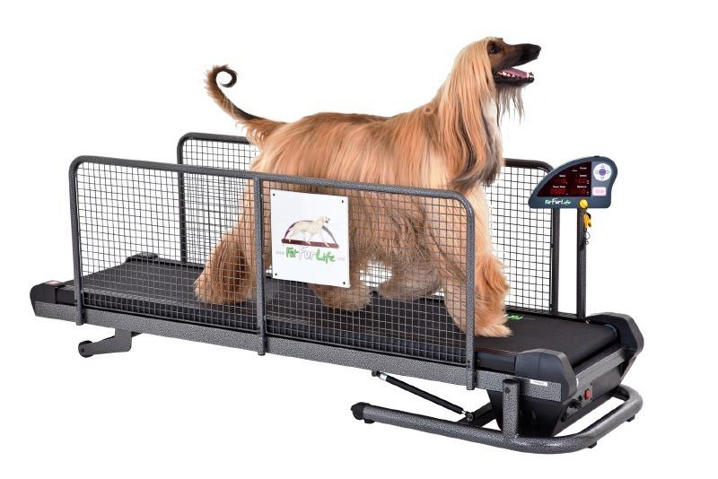 Professional Fit Fur Life Treadmill