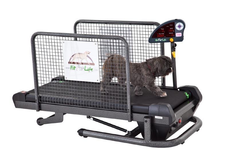 Small Fit Fur Life Treadmill thumbnail 2