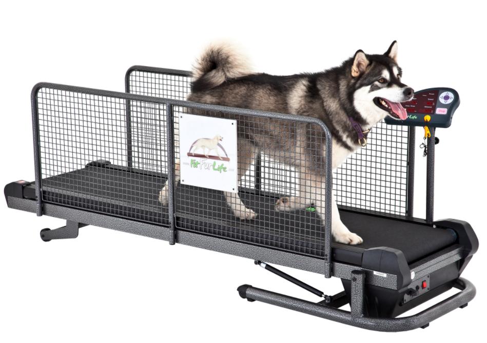 Superior Fit Fur Life Treadmill