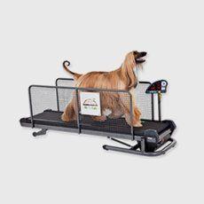 Our Mission Statement