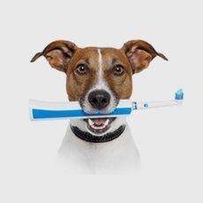 Giving You Peace Of Mind